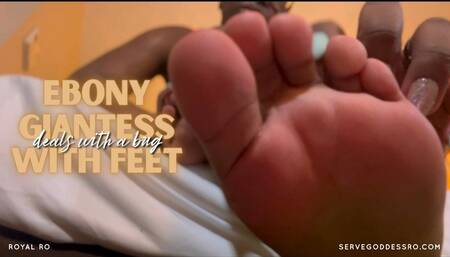 Ebony Giantess Deals with a Bug with Feet SD MP4 720p by Royal Ro with Ebony Giantess, Foot Worship, Ebony Feet, Toe Wiggling, Ebony Soles, Ebony Foot Fetish, Foot Scrunching, Feet Worship, POV