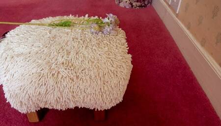 Obedience Training For House Slave