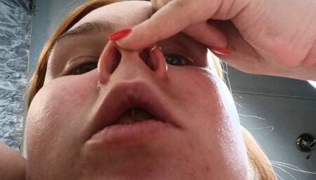 The pig nose of a human pig