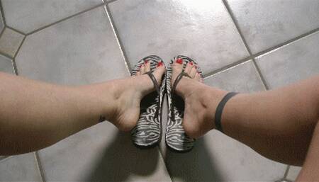 FlipFlopsFeetShoeplay (MP4)