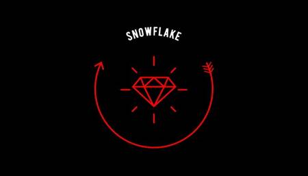 Snowflake in Heads Or Tails ?