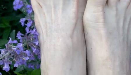 playing on barefoot over purple flowers