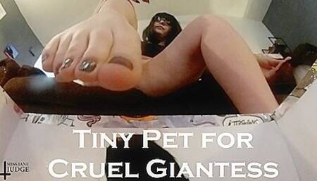 Jane Judge In Tiny Pet For Cruel Giantess