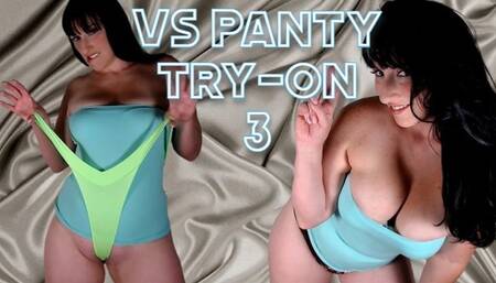 Victoria Secret Panty Try On 3