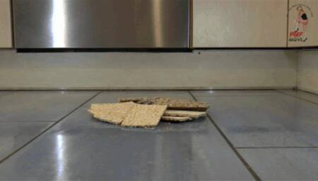 Crispbread under Boots floor view