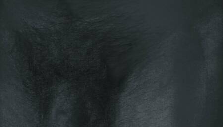 Hair Cock Jerk Off Comp B&W