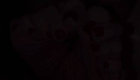 FOOT WORSHIP AND GAG ON 21ST FLOOR | Standard definiton