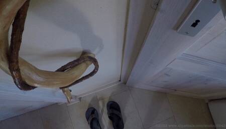 Sucking and licking (2019) (MP4)