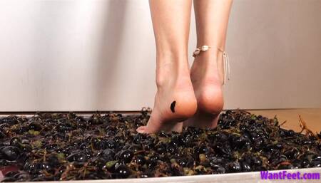 Beatrix Grape Crush - HD MP4