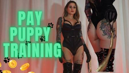 Pay Puppy Training