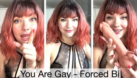 You Are Gay- Imposed Bi