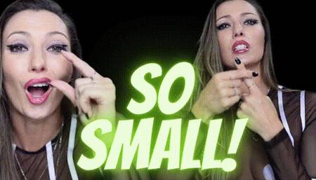 Bratty Bunny - SO SMALL!