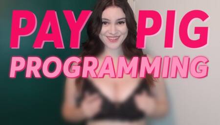 Paypig Programming