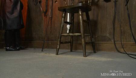 The Leather Riding Mistress