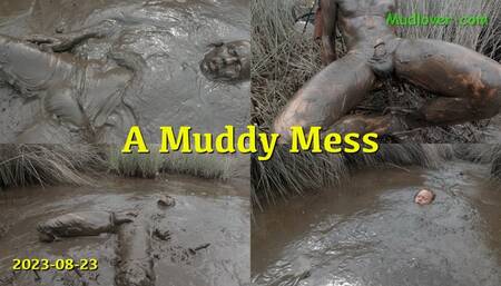 A Muddy Mess, 2022-08-23