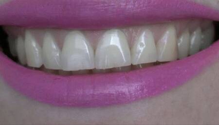 Let the bears feel the razor blade sharp slicing MP4 HD 720p