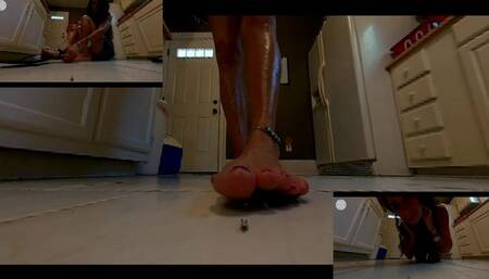 Rebel Hates Nosey Neighbors!