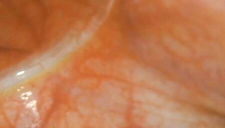 Endoscopic journey into my wet pussy in very high resolution with asmr trigger sounds 4K