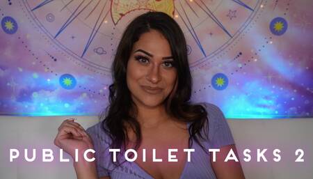 Public Toilet Tasks - 2