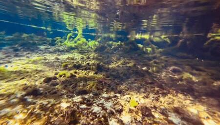 Carissa in the public spring in her pirate bikini
