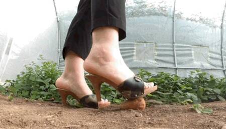 CC - Crushing in garden, sexy mules