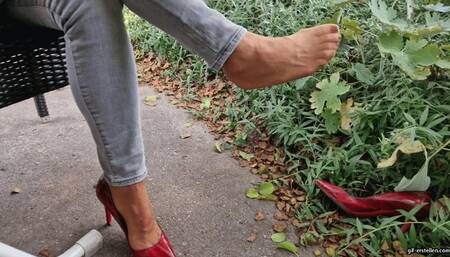 Shoe stealing in the street restaurant and orange in the shoe_new wmv 1280 x 720