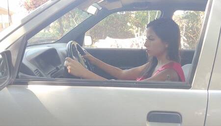 Stefy felony traffic stop