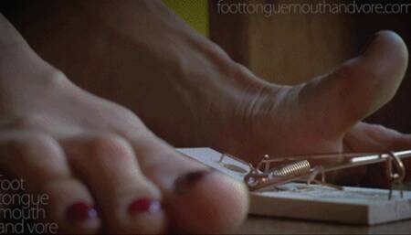 Alice & The Mousetrap