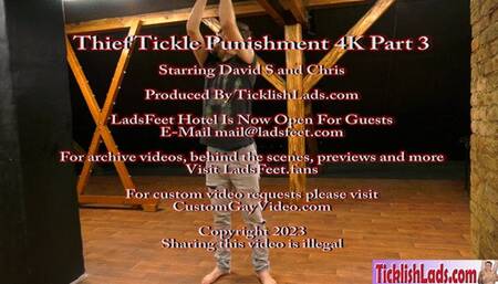 Thief Tickle Punishment 4K Part 3