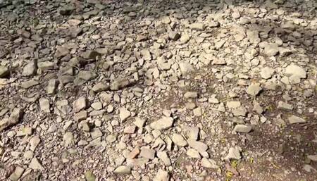 hike with me and pee