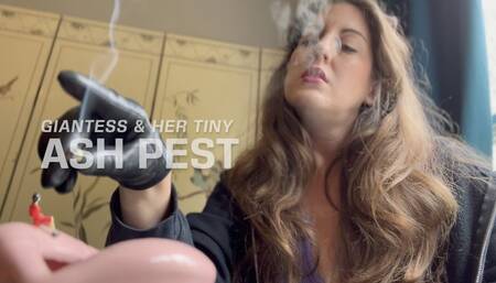 Giantess and Her Tiny Ash Pest