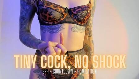 Tiny Cock, No Shock - SPH