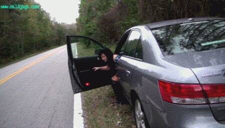 HUNTED IN THE WOODS_MP4HD