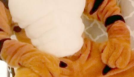 Fang Edging, Wanding and Cumming