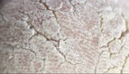 Victoria Vineta Macro Lens Soles Tour Right 0001