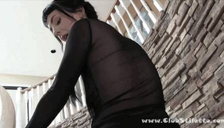 Crawl up the stairs to Get My Pussy