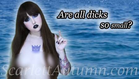 Disappointing a Mermaid with your small dick - MP4 HD 1080p
