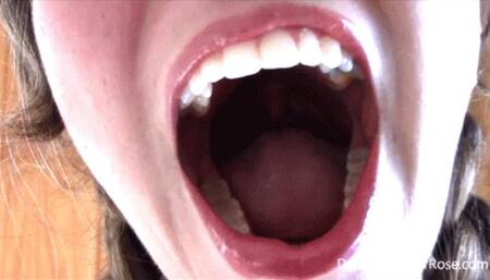 * 854x480p * Big Clenching Yawns - Mp4