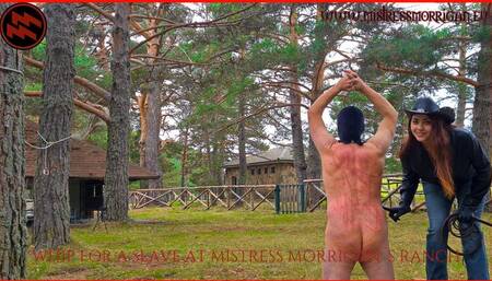 WHIP FOR A SLAVE AT MISTRESS MORRIGAN'S RANCH