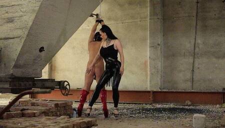 Not shown enough, he has to be oiled and whipped