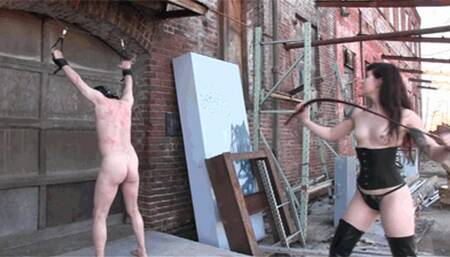 Bullwhipped By Ultra Violet (MP4 HD)