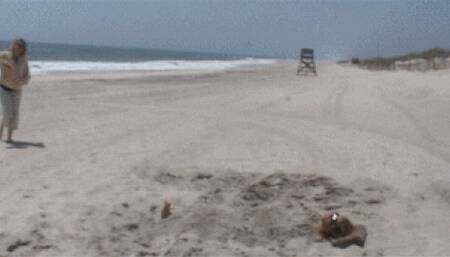 Buried in the sand redux-SD WMV