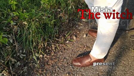 A Bouquet of Nettles for the Mistress - Un Bouquet di ortiche per la Padrona