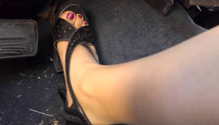 The Cutlass Cuts Up - WMV Format