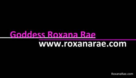 October Tiny Dick Tax 2023