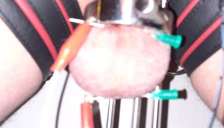 Balls Stretched & Electro Tormented