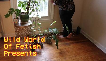 The Bitch That Wouldn't Leave