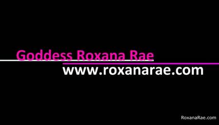 Beggars Can't Be Choosers - SPH