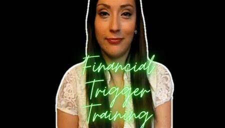 Financial Trigger Training Lesson One - (AOV)