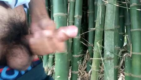 Indian Boy Cumming on Bamboo,handjob Cumshot